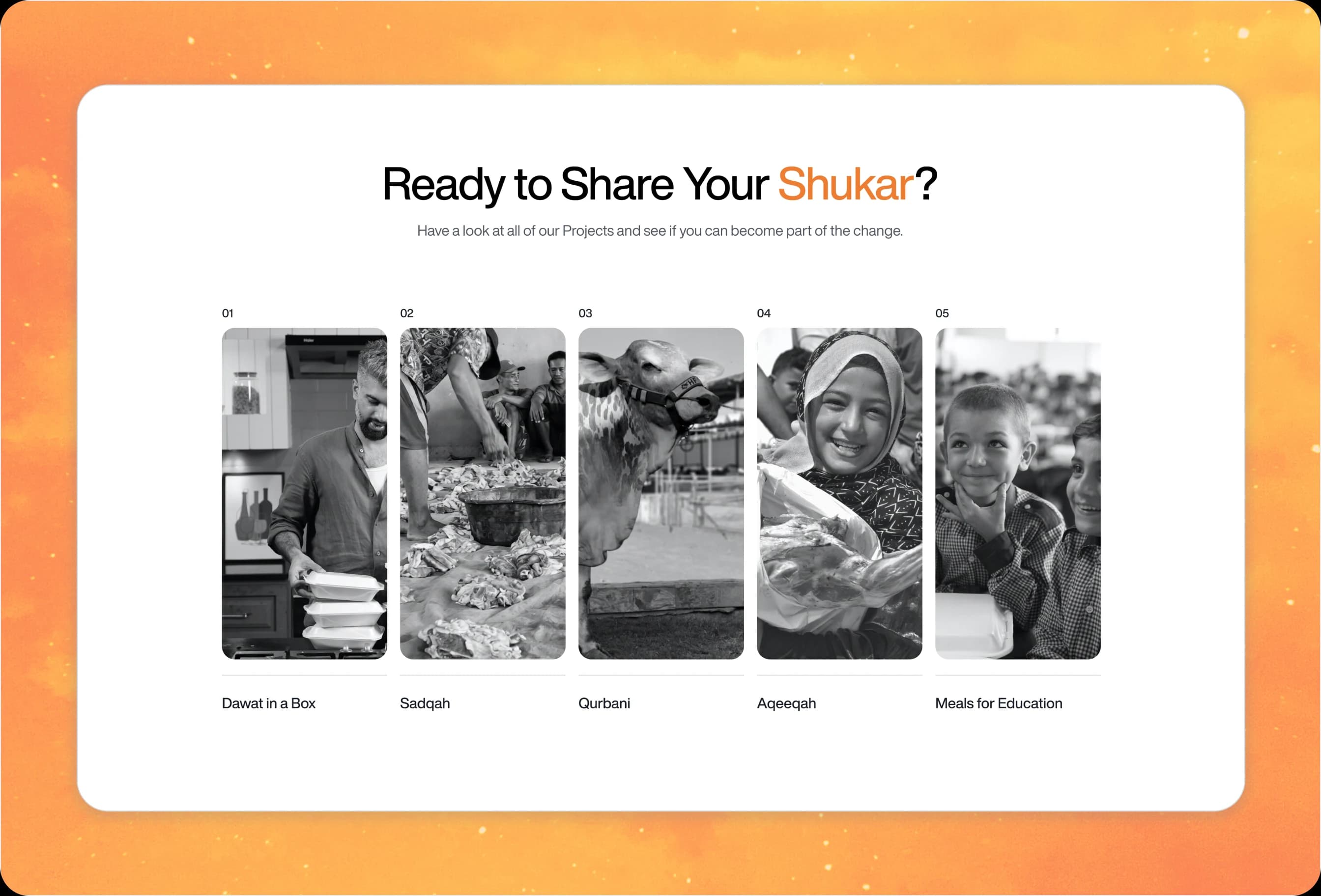 Shukar Hai — Qurbani & Aqeeqah donation app. View case study.